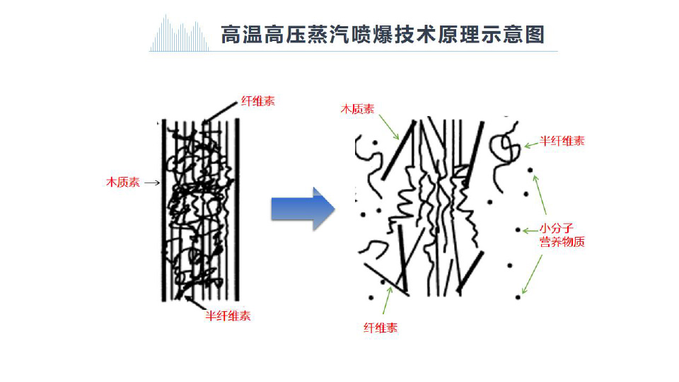 節-24.jpg